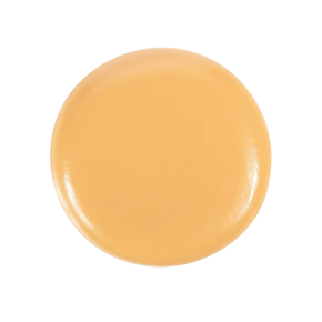 Picture for category Cheese Replicas